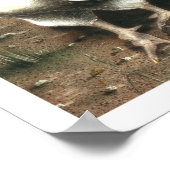 De Rooster Poster (Hoek)