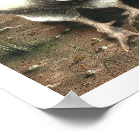 De Rooster Poster (Hoek)