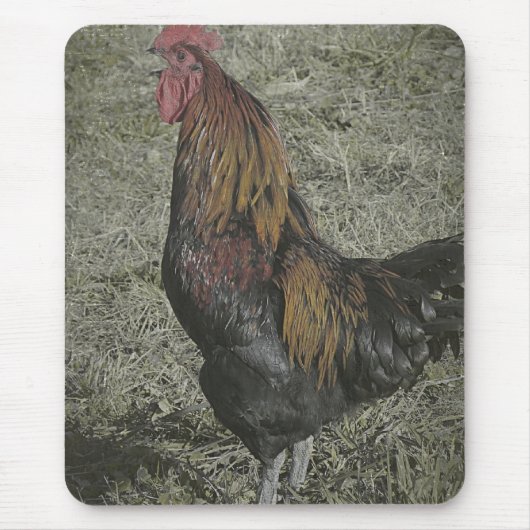 De roosterkoeien muismat (Voorkant)