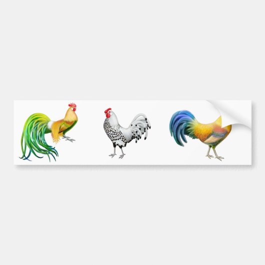 De Roosters Bumpersticker (Voorkant)