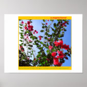 De Rosariankrantz van de Aurorarische Lamp. * Poster (Voorkant)