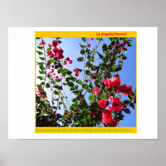 De Rosariankrantz van de Aurorarische Lamp. * Poster