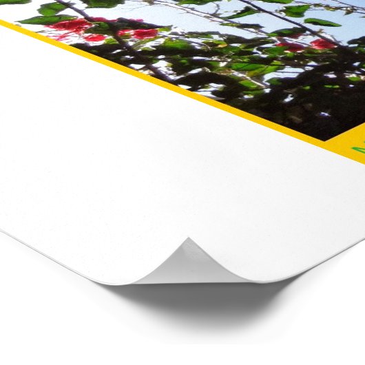 De Rosariankrantz van de Aurorarische Lamp. * Poster (Hoek)