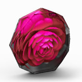 De Rosy Camellia Fotoblokken (Links)