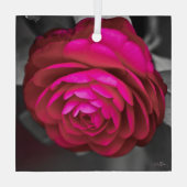 De Rosy Camellia Glas Ornament (Achterkant)