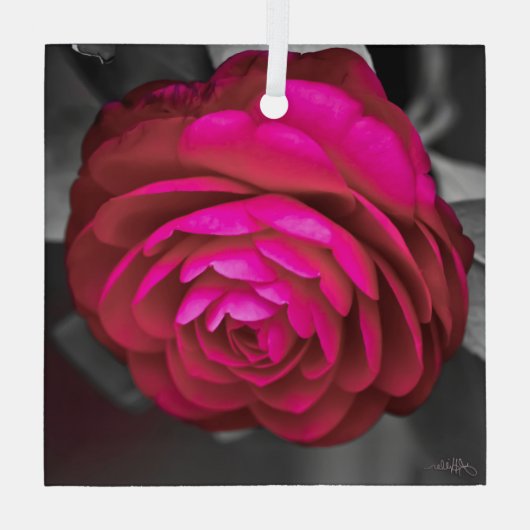 De Rosy Camellia Glas Ornament (Achterkant)