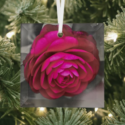 De Rosy Camellia Glas Ornament (Insitu)