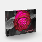 De Rosy Camellia Happy Moederdag Fotoblokken (Links)