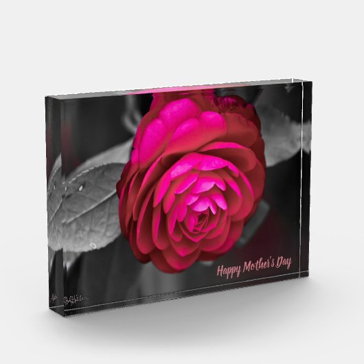 De Rosy Camellia Happy Moederdag Fotoblokken (Links)