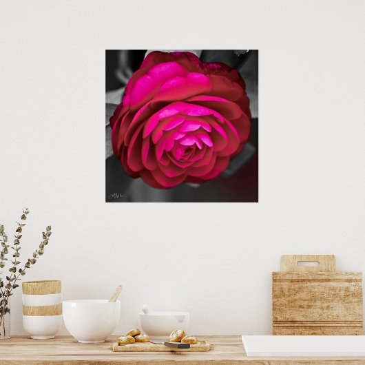 De Rosy Camellia Poster (Keuken)