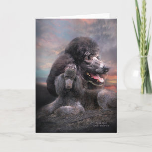 De Rots ArtCard van de poedel Kaart