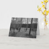 De rotsachtige Esp van de Berg, de kaart van de (Gele Bloem)