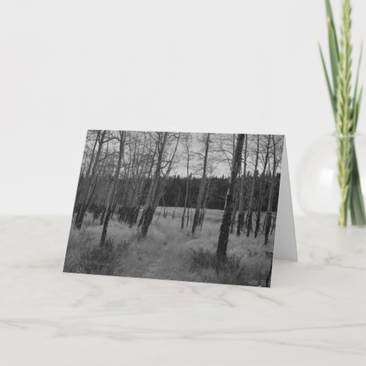 De rotsachtige Esp van de Berg, de kaart van de (Voorkant)