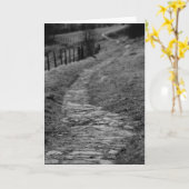 De rotsachtige Kaart van de Groeten van de Weg (Gele Bloem)