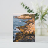 De rotsachtige kust van Isle au Haut in Maine's Briefkaart (Staand voorkant)
