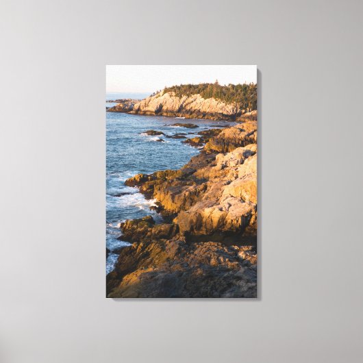 De rotsachtige kust van Isle au Haut in Maine's Canvas Afdruk (Voorkant)