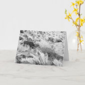 De Rotsen van de Lava van het basalt in Woestijn, Kaart (Gele Bloem)