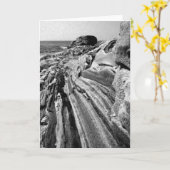 De Rotsen van Pemaquid Kaart (Gele Bloem)