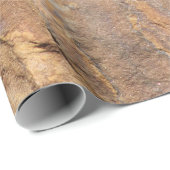 De rotsklimmer cadeaupapier (Rol Hoek)