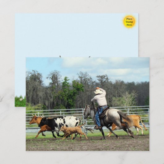 De Roundup - Cowboy Briefkaart (Voorkant / Achterkant)