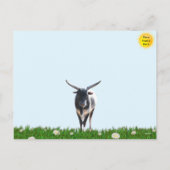 De Roundup - Cowboy Briefkaart (Achterkant)