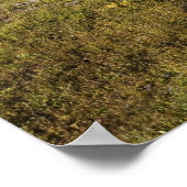 De route naar het uitzicht van het Verborgen meer Poster (Hoek)