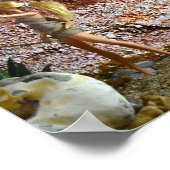 De route verkennen. poster (Hoek)