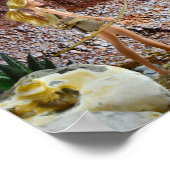 De route verkennen. poster (Hoek)