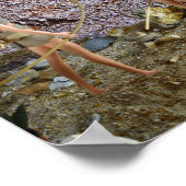 De route verkennen. poster (Hoek)