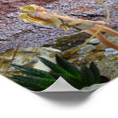 De route verkennen. poster (Hoek)