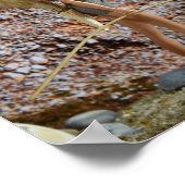 De route verkennen. poster (Hoek)