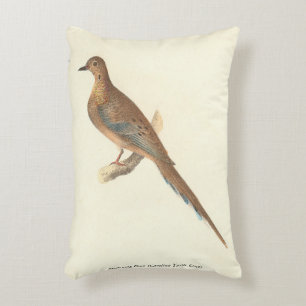 De rouwduif (Carolina Turtle Dove) NY Birds Accent Kussen