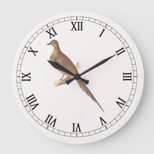 De rouwduif (Carolina Turtle Dove) NY Birds Grote Klok