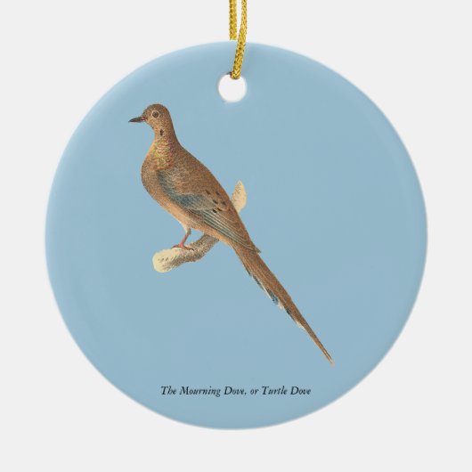 De rouwduif (Carolina Turtle Dove) NY Birds Keramisch Ornament (Voorkant)