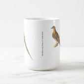 De rouwduif (Carolina Turtle Dove) NY Birds Koffiemok (Center)