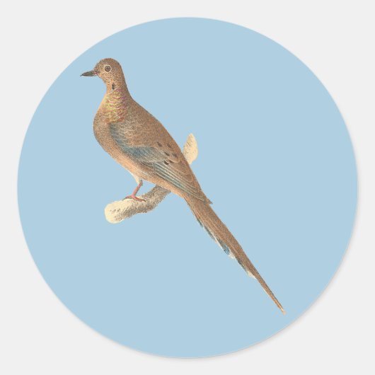 De rouwduif (Carolina Turtle Dove) NY Birds Ronde Sticker (Voorkant)
