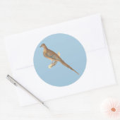 De rouwduif (Carolina Turtle Dove) NY Birds Ronde Sticker (Envelop)