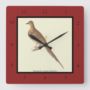 De rouwduif (Carolina Turtle Dove) NY Birds Vierkante Klok