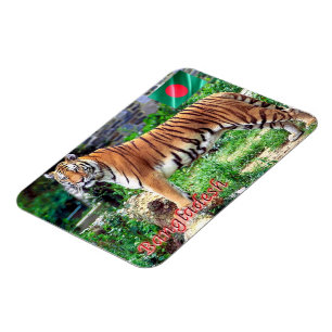 De Royal Bengal Tiger Magneet