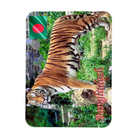 De Royal Bengal Tiger Magneet (Verticaal)
