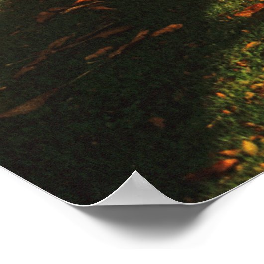 De Royal Crescent, Bath. Poster (Hoek)