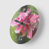 De roze Bloem van de Akelei Ronde Klok (Hoek)