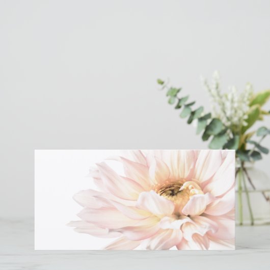 De roze Bloem van de Dahlia - Dahlia's (Staand voorkant)