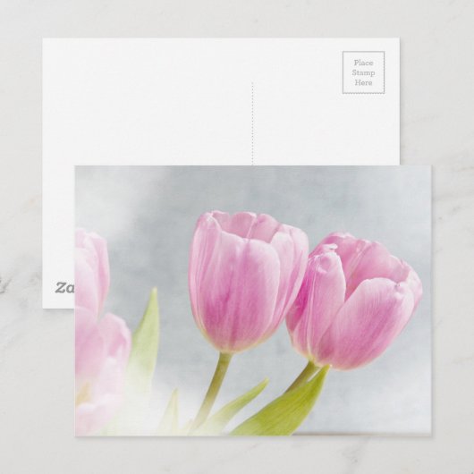 De roze Bloemblaadjes van de Bloem van de Tulp Briefkaart (Voorkant / Achterkant)