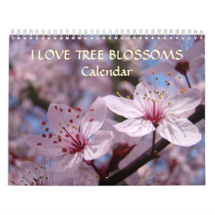 De roze Boom komt de Witte Bloesems Apple van de Kalender