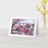 De roze Boom van de Bloem Kaart (Gele Bloem)