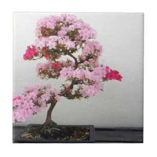 De roze Boom van de Bonsai Tegeltje