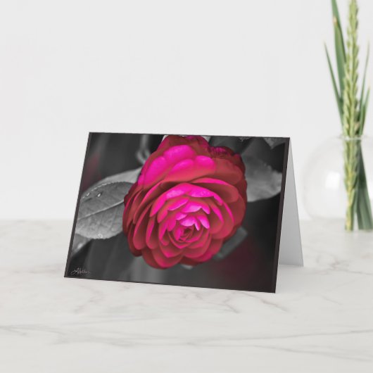 De Roze Camellia Bedankkaart (Voorkant)