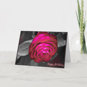 De Roze Camellia Gefeliciteerd Verjaardag Bedankkaart