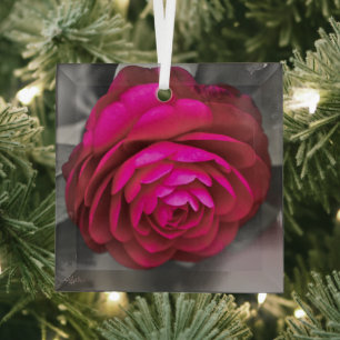 De Roze Camellia Glas Ornament